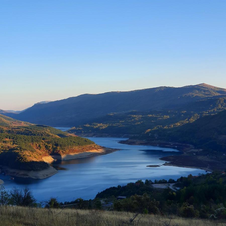 פירוט Vila Nemir Zavojsko Jezero מראה חיצוני תמונה