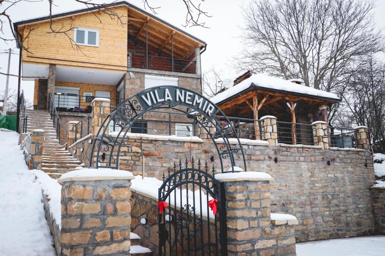 פירוט Vila Nemir Zavojsko Jezero מראה חיצוני תמונה